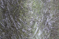 Machynlleth fibreglass roof work